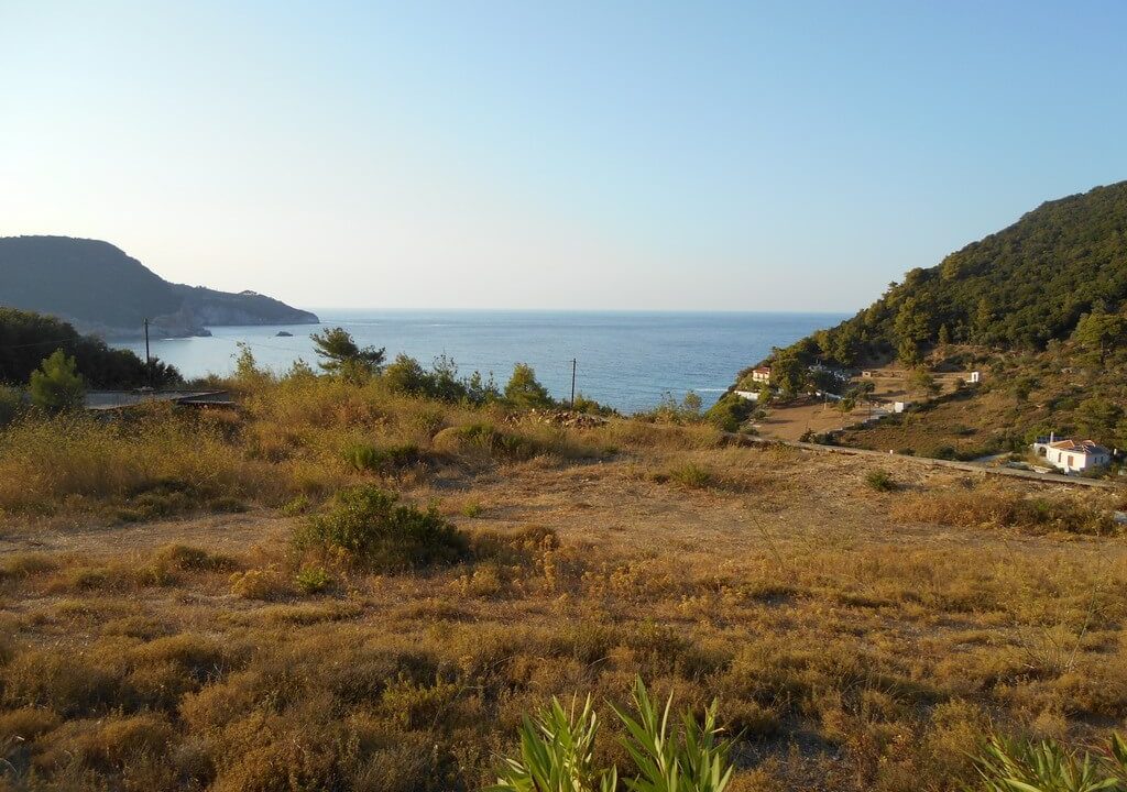 Εξαιρετικό οικόπεδο κοντά στην Χώρα Σκοπέλου-gallery07-skopelosrealestate.net