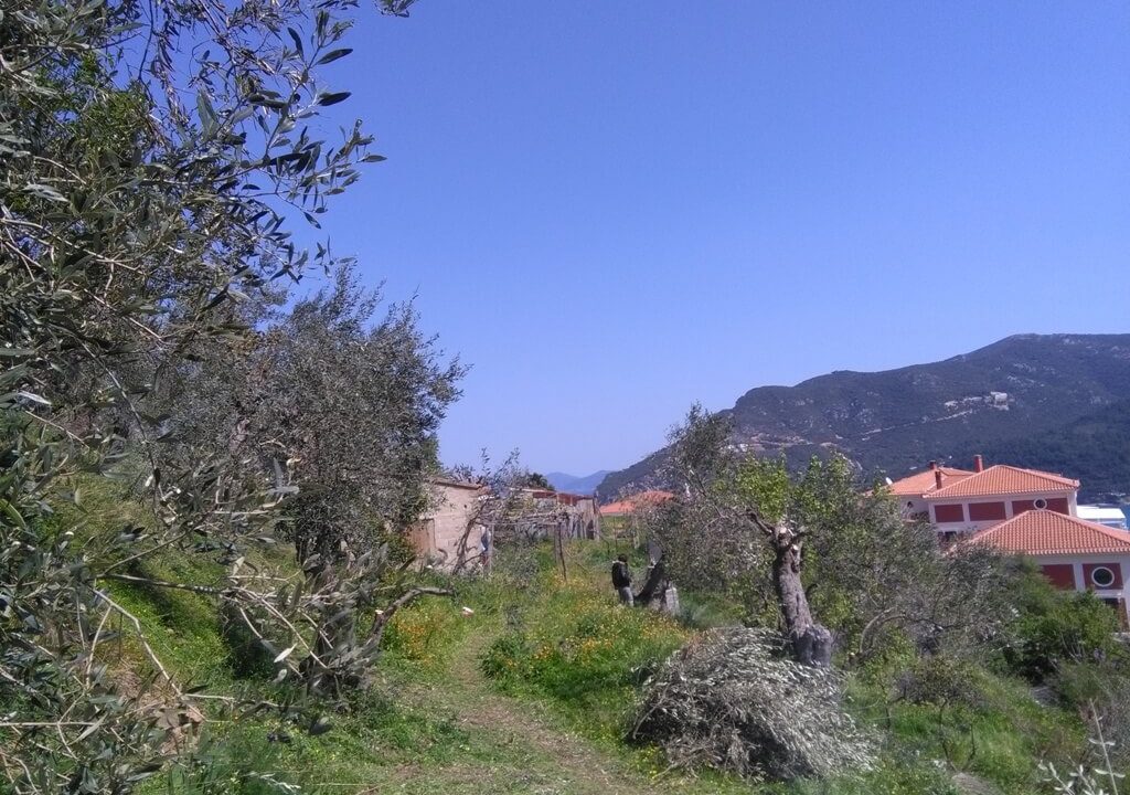 Οικόπεδο στη Σκόπελο με καταπληκτική θέα-gallery02-skopelosrealestate.net