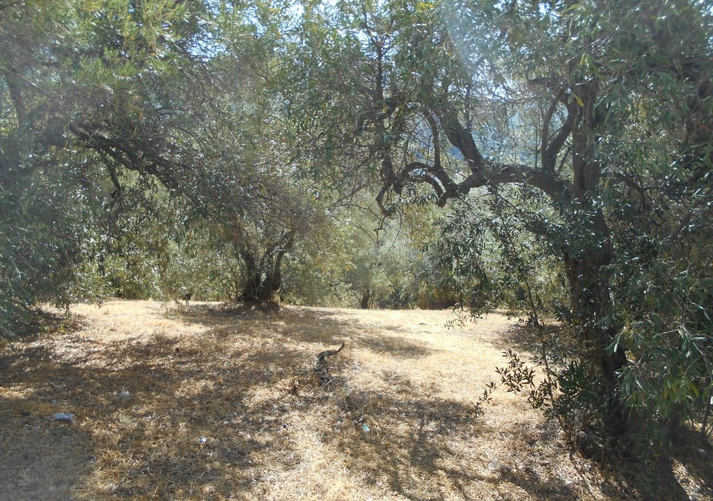 DSCN7830