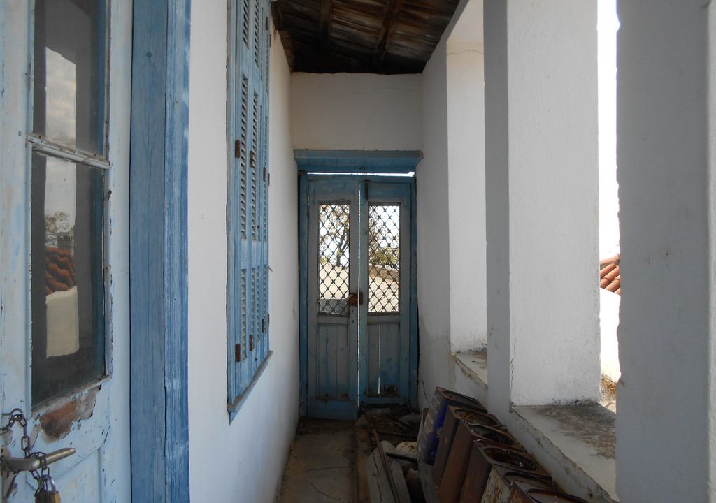 DSCN7846
